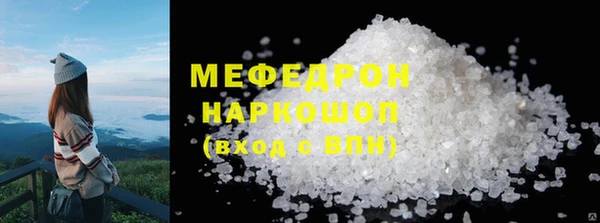 индика Богданович