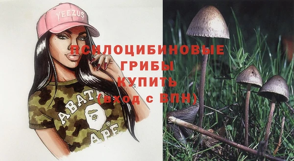 индика Богданович