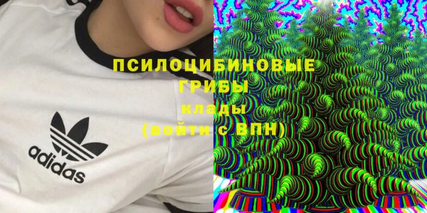 кокаин Белокуриха
