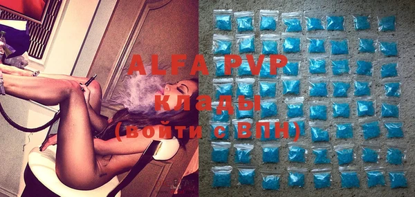 индика Богданович