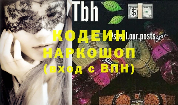 индика Богданович